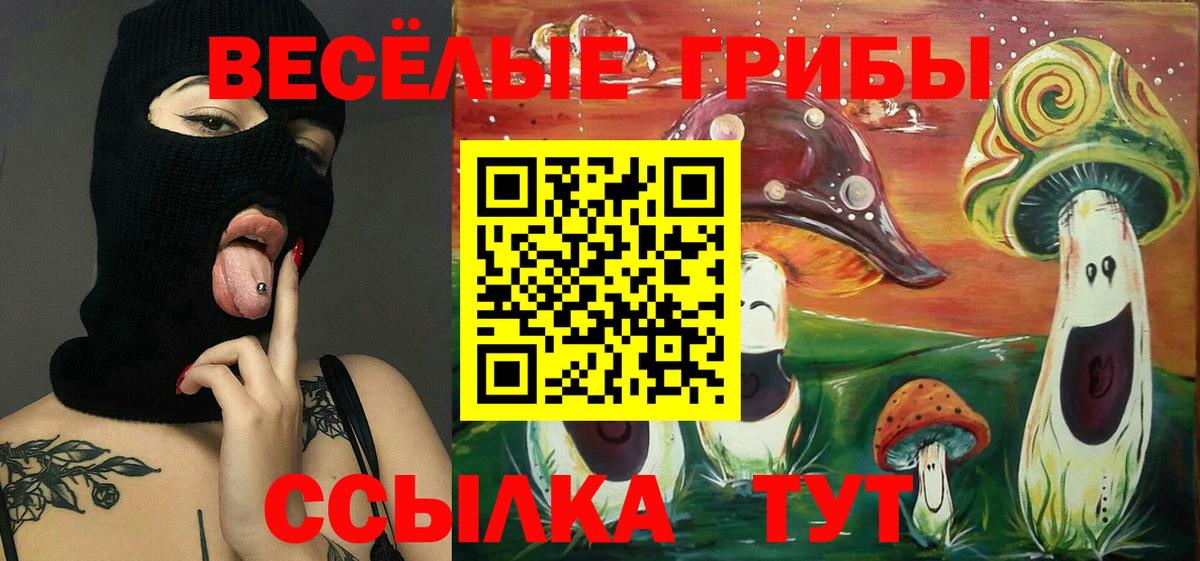 Галлюциногенные грибы мухоморы  Вход с VPN  Прохладный  Галлюциногенные грибы Cubensis 